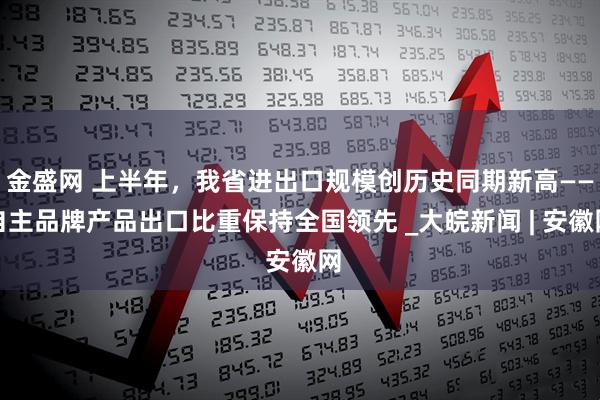 金盛网 上半年，我省进出口规模创历史同期新高——自主品牌产品出口比重保持全国领先 _大皖新闻 | 安徽网