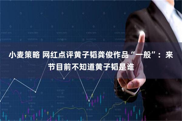 小麦策略 网红点评黄子韬龚俊作品“一般”：来节目前不知道黄子韬是谁