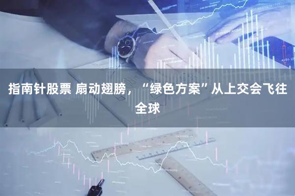 指南针股票 扇动翅膀，“绿色方案”从上交会飞往全球